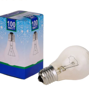 BULB 100W ES